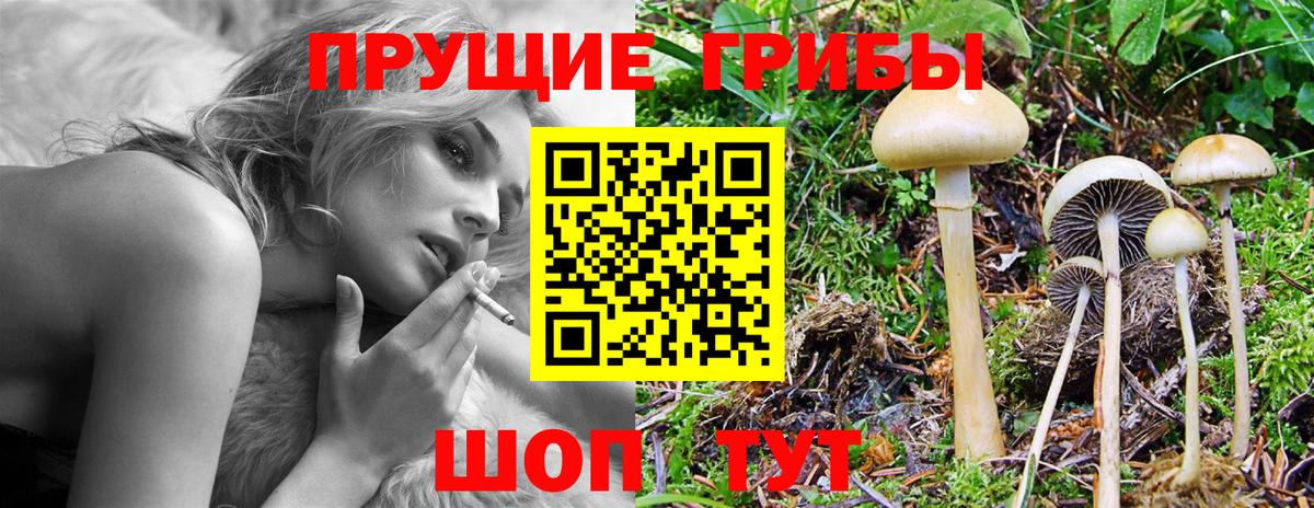 Псилоцибиновые грибы ЛСД  закладка  Вход с VPN  Берёзовский  Галлюциногенные грибы мицелий 