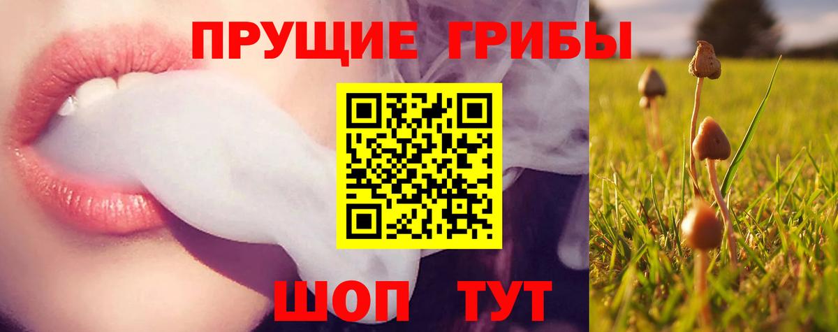 Галлюциногенные грибы мухоморы  Берёзовский  Галлюциногенные грибы мицелий 